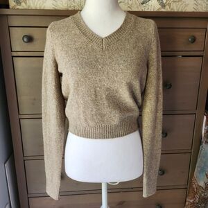 American Eagle Outfitters V-Neck Sweater in Tan